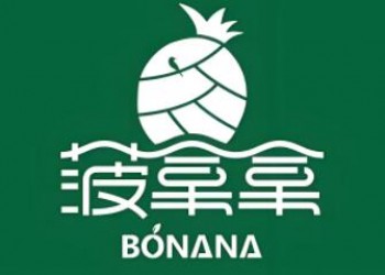 菠拿拿果切