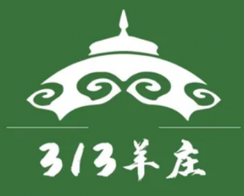313羊庄