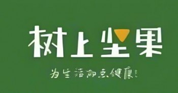 树上坚果