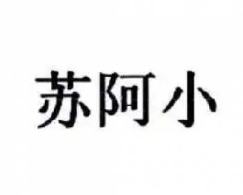 苏阿小零食