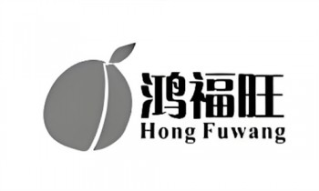 鸿福旺枸杞槟榔