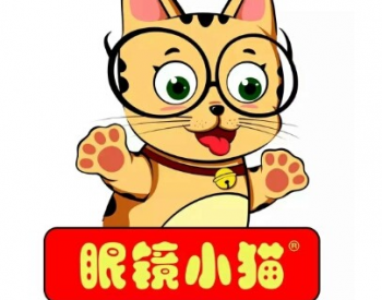 眼镜小猫瓜子