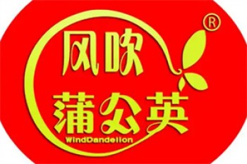 风吹蒲公英休闲零食