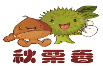秋栗香板栗