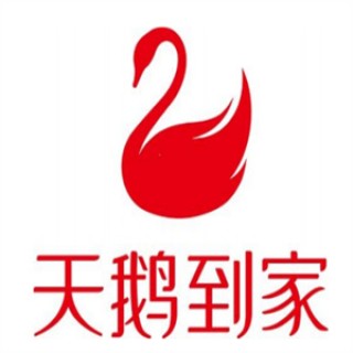 天鹅到家家政