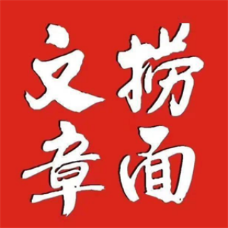 文章捞面