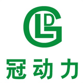 冠动力电瓶修复