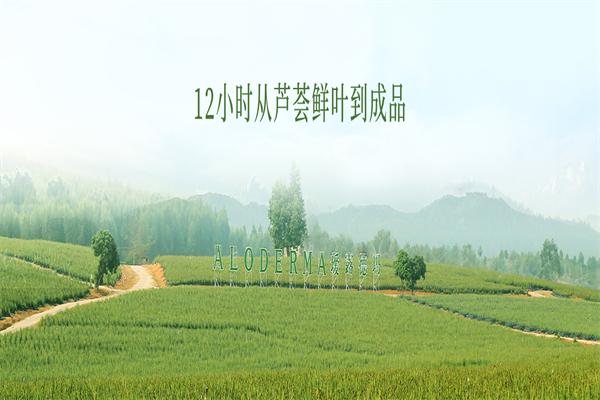 加盟