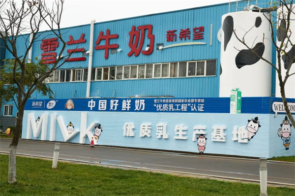 雪兰牛奶加盟