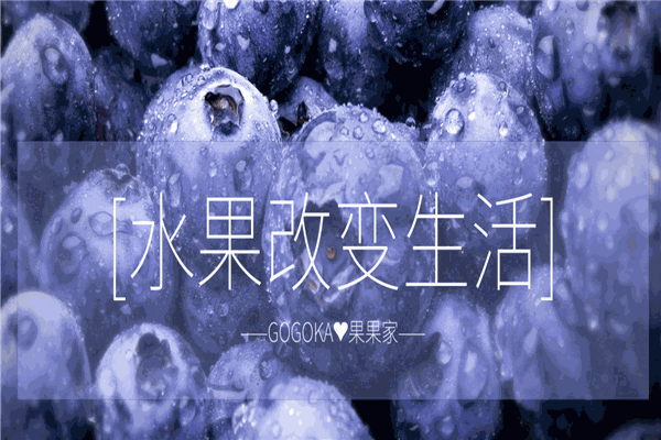 加盟