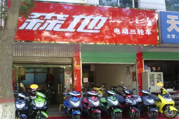森地电动车加盟