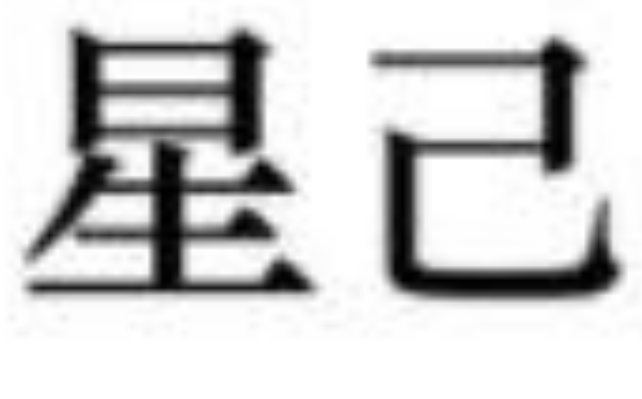 星己奶茶