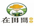 在田间冒菜