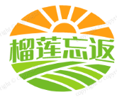 榴莲忘返
