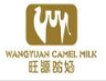 旺源新疆骆驼奶