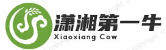 潇湘第一牛