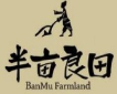 半亩良田排骨饭