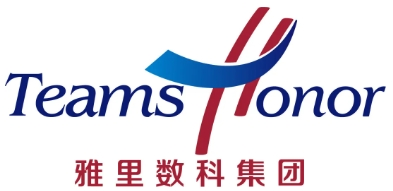 雅里数字科技集团
