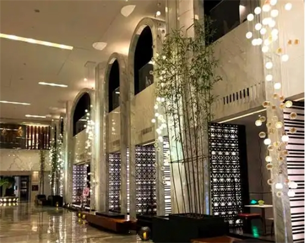 阿纳迪酒店