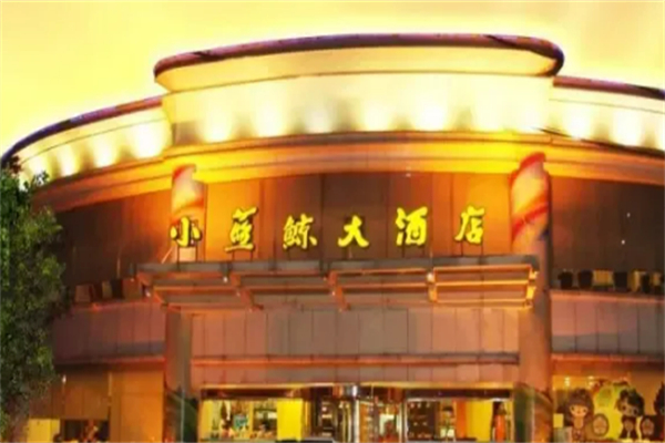 小蓝鲸酒店 小蓝鲸酒店