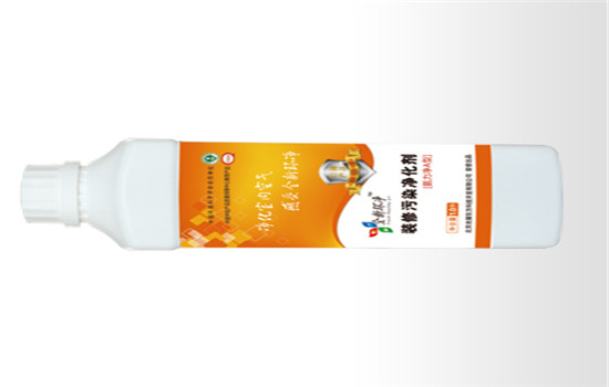 全新环净加盟为什么那么受欢迎