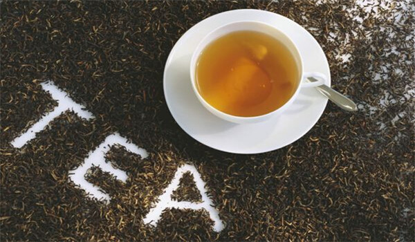 大舜皇茶叶加盟
