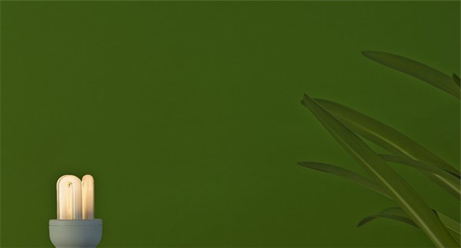 欧普登节能灯