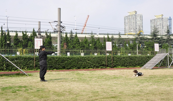 犬语者宠物训导馆加盟需要什么条件？