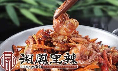 湘阁里辣加盟条件