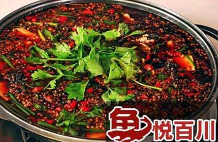  株洲市 鱼悦酸菜鱼加盟连锁店投资要多少钱